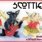 Scotties Rock Foundation discount code